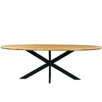 Mangoholz Esstisch Malta oval mit Spider-Gestell